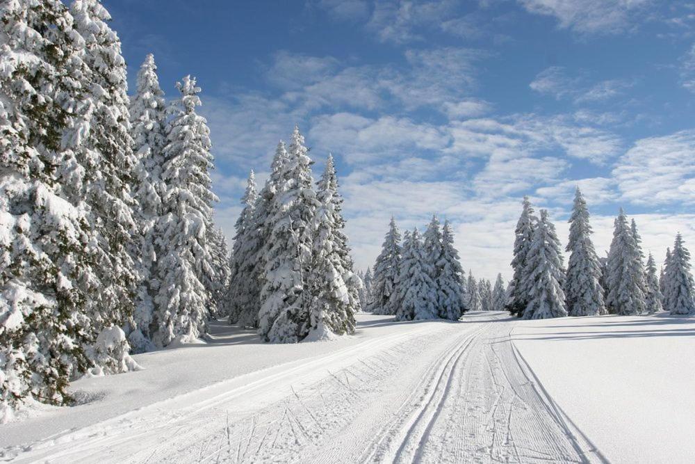 Apartman Na Svahu, Krkonose Žacléř Buitenkant foto